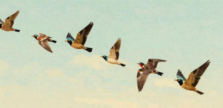 NativePHP for Mobile es ahora gratuito: ¡Por fin puedo probarlo!